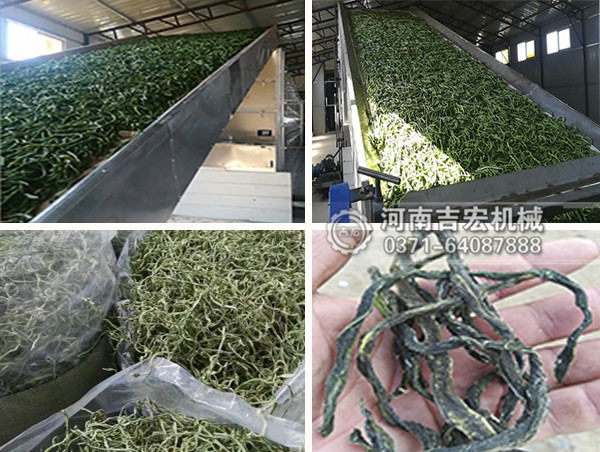 豆角烘干機_小型龍豆角烘干機價格_大型長豇豆干燥機設備廠家